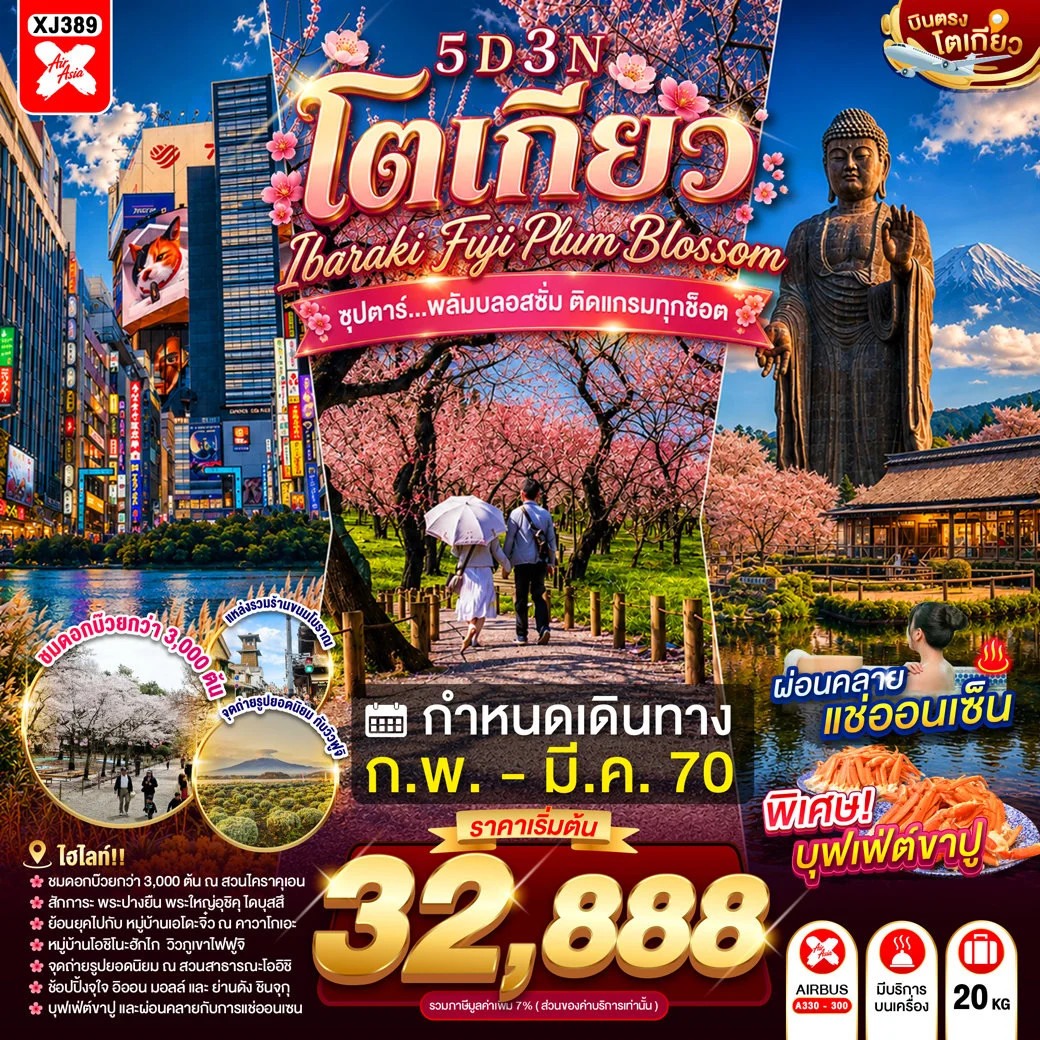 ทัวร์ญี่ปุ่น TOKYO IBARAKI FUJI PLUM BLOSSOM  ซุปตาร์...พลัมบลอสซั่ม ติดแกรมทุกช็อต 5วัน 3คืน  (XJ)