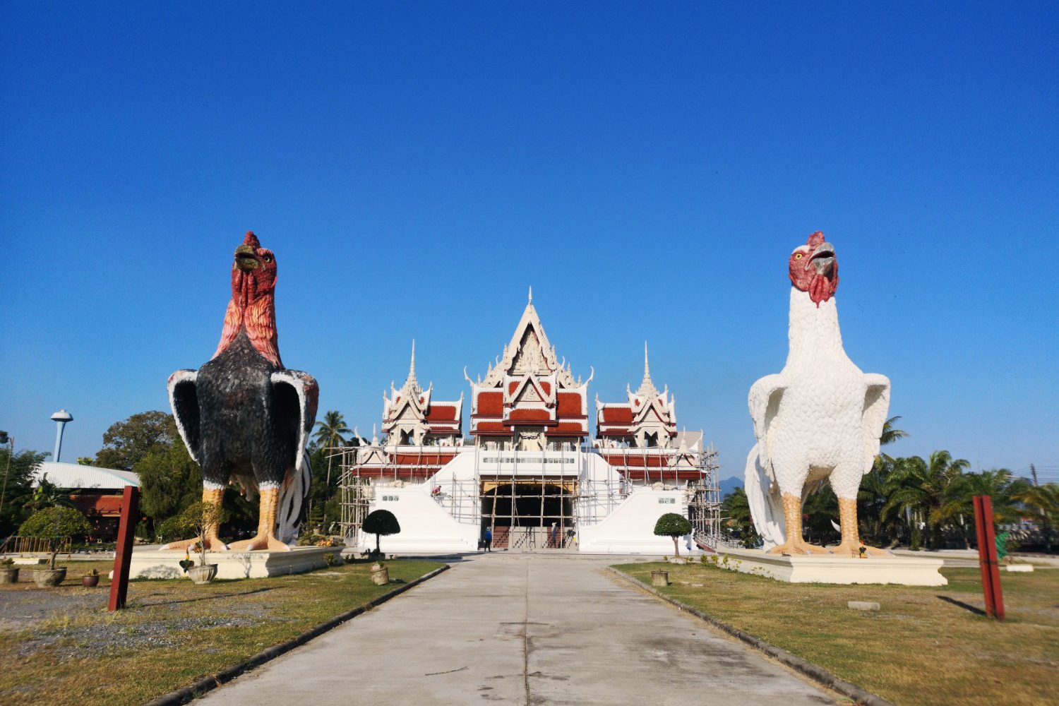 ขอพรไอ้ไข่